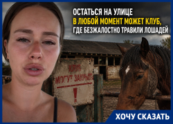 «Мы боимся остаться на улице»: владелица конного клуба с отравленными лошадьми обратилась к неравнодушным