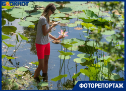 Свезенные автобусами туристы лезут прямо в воду: что творится на уникальном озере лотосов под Волгоградом