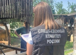 Волгоградца нашли мёртвым с дырой в вене