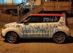После родов жены волжанин изрисовал свою Kia Soul