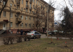 Дерево рухнуло сразу на два автомобиля в центре Волгограда