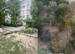 Ураган переломал деревья и забор садика в Волгограде 