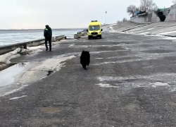 Упавшую с волгоградского моста 17-летнюю перевели из реанимации