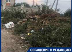 Мэрия Волгограда объяснилась за стихийную свалку в горевшем частном секторе