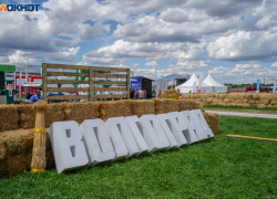 Новые производства и 130 инвестпроектов поднимут экономику Волгоградской области в 2026 году