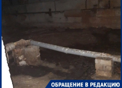 «Даже бомжи испугаются полезть согреться»: летающая живность оккупировала сырой дом в Волгограде