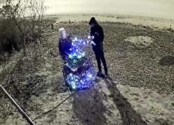На видео попало, как два ребенка обокрали елку, наряженную неравнодушными волгоградцами