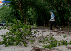 О ночном шторме предупредило МЧС волгоградцев: погода вышла из-под контроля