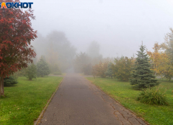 Теплое туманное воскресенье наступило в Волгограде