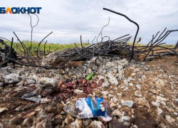 Под Волгоградом пастух подорвался на военном снаряде