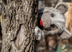 Подробности смерти 4-летней девочки и сильного отравления еще троих человек в Волгоградской области