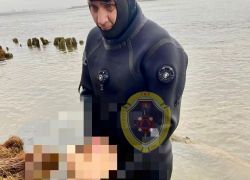 Новые части расчлененной волгоградки выловили из Волги