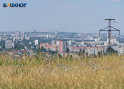  Человеческую ногу нашли в Советском районе Волгограда