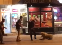 «Почему человек ходит по улицам с ножом»: жестокую расправу над алабаем обсуждают в Волгограде