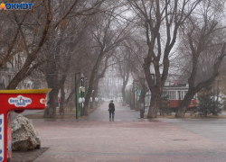 До 19 градусов тепла и без осадков: погода в Волгограде на 28 марта