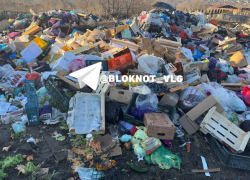 Заражение почвы глистами грозит Волгограду