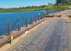 «Гнался, убил и утопил»: смерть 15-летнего волгоградца обросла жуткими слухами