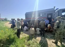 Массовую облаву на мигрантов устроили в Волгоградской области