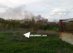 Царицынская пойма загорелась в Волгограде 