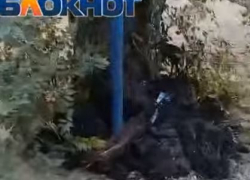 «Удобрили зловонными  черными сгустками и бросили одежду»: волгоградцы пожаловались на работу «Концессий» 