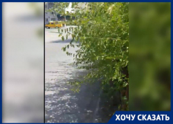 Пешеходный переход в Волжском скрывают от водителей ветки деревьев