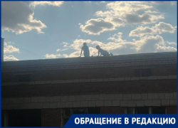 "Дети бегают по крыше": расселенная заброшка стала экстремальным кошмаром волгоградцев