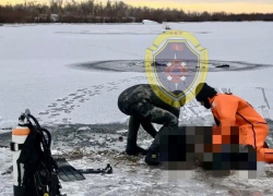 Тело мужчины нашли в реке под Волгоградом 