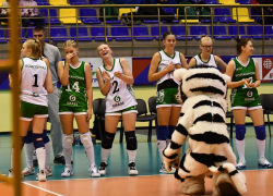 Волгоградские волейболистки завоевали «бронзу» в Кубке Высшей лиги 