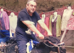 Судимого депутата-единоросса обвинили в смертельном пьяном ДТП под Волгоградом