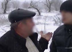 Под Волгоградом лесничий задержан за вырубку лесов на дрова