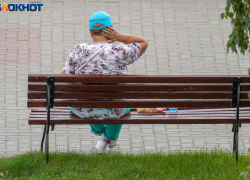 Сезон мошкары начался в Волгограде