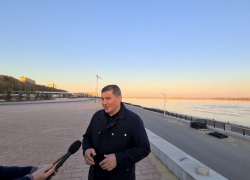 Губернатор заявил о массовой гибели деревьев в Волгограде