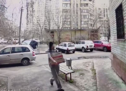 Коробку с двумя щенками подбросили к подъезду в центре Волгограда