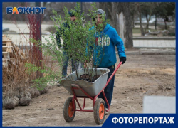 Что нового ждет волгоградцев в парке на центральной набережной