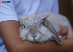 Холодно и высокое давление: погода в Волгограде на 27 сентября