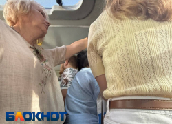 Добрый сотрудник ГАИ пристыдил водителя маршрутки №3с в Волгограде