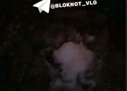 Внеплановый «гейзер» забурлил в Ворошиловском районе Волгограда 