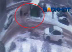  Свора собак набросилась на мужчину в Волгограде: нападение засняла камера