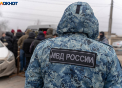 Пробили головы и задушили проволокой: полиция проверяет жестокое убийство собак в Волгограде