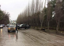 Женщина-водитель на SsangYong в Михайловке протаранила дерево: водитель и 12-летний ребенок в больнице