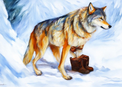 Волк напал на многодетную мать в Волгоградской области