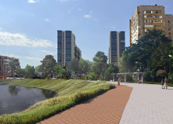 Кишащий водяными крысами пруд хотят благоустроить в Волгограде