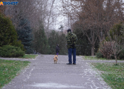 Мокрый снег, дождь и гололед: синоптики о погоде в Волгограде на 11 декабря 