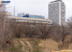 Асфальт закончился: Волгоградская область стала лидером по числу грунтовых дорог 