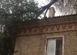 В Волгограде дерево рухнуло на жилой дом: обрушился фасад здания