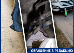 Два новых случая атак бездомных собак в Волгограде: гнались за 10-летним ребенком и изгрызли бензопровод Hyundai