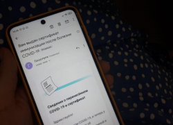 Переболевшая коронавирусом волгоградская семья не может получить QR-коды