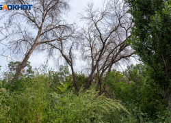 На базу отдыха под Волгоградом ворвался угрожающий убийством мужчина с топором 
