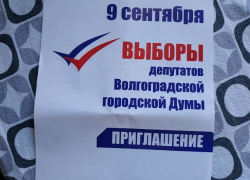Облизбирком опубликовал взаимоисключающие результаты выборов по нескольким округам Волгограда