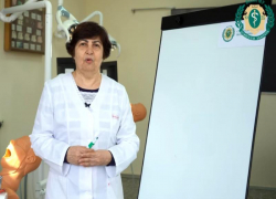 Как правильно чистить зубы, рассказала профессор медуниверситета в Волгограде